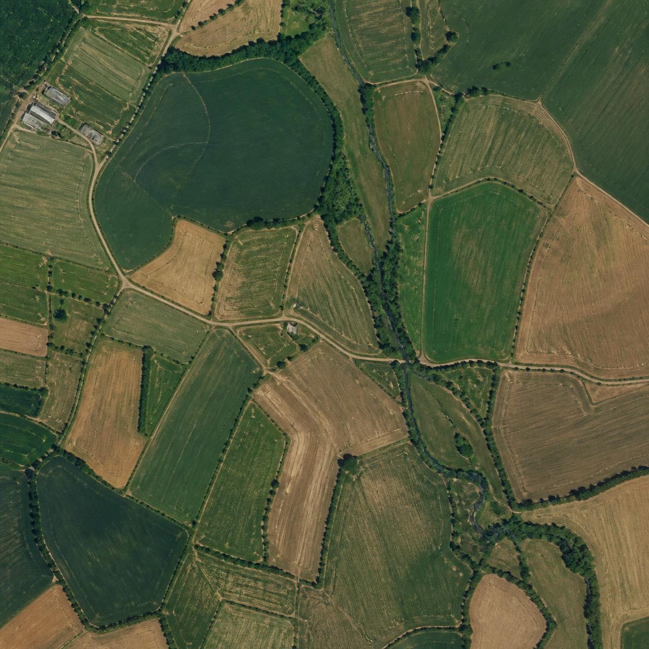 Satellite-style top-down view of farm fields